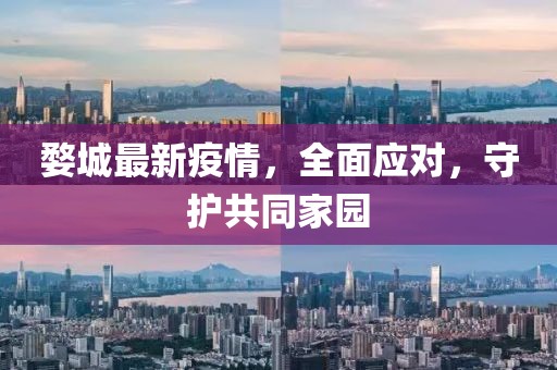婺城最新疫情，全面应对，守护共同家园