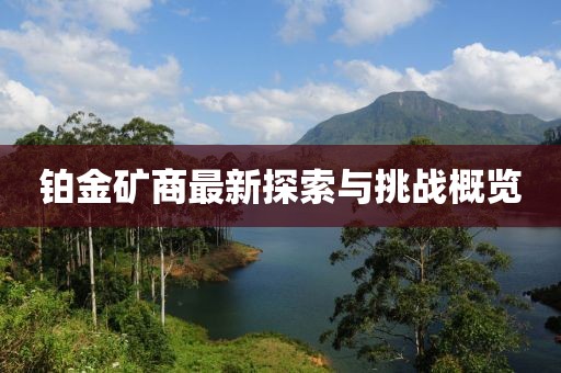 铂金矿商最新探索与挑战概览