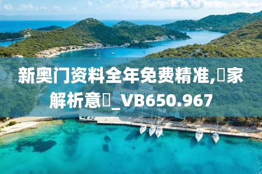 新奥门资料全年免费精准,專家解析意見_VB650.967