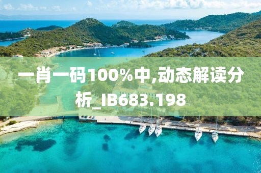 一肖一码100%中,动态解读分析_IB683.198