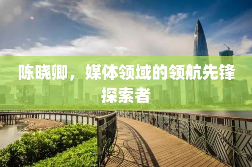 陈晓卿，媒体领域的领航先锋探索者
