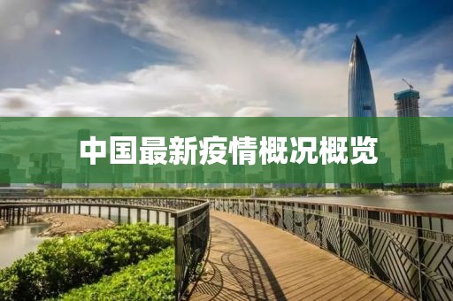 中国最新疫情概况概览
