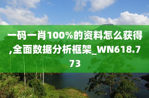 一码一肖100%的资料怎么获得,全面数据分析框架_WN618.773