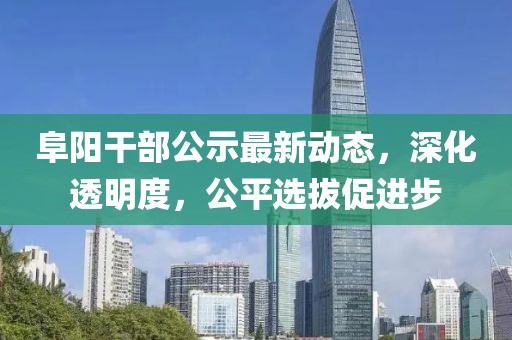 阜阳干部公示最新动态，深化透明度，公平选拔促进步