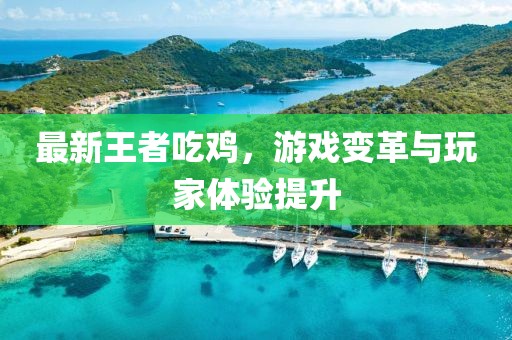 最新王者吃鸡，游戏变革与玩家体验提升