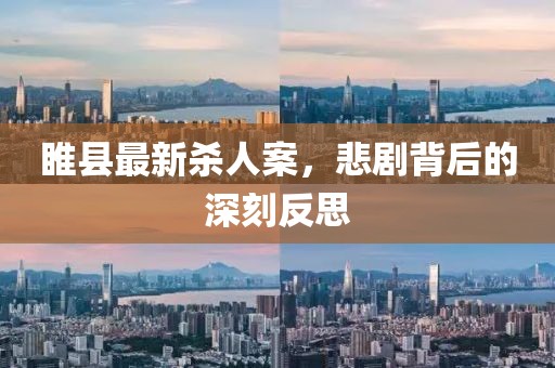 睢县最新杀人案，悲剧背后的深刻反思
