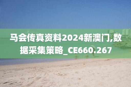 马会传真资料2024新澳门,数据采集策略_CE660.267