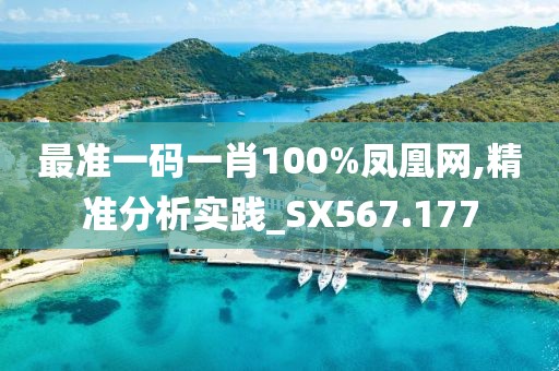 最准一码一肖100%凤凰网,精准分析实践_SX567.177