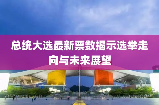 总统大选最新票数揭示选举走向与未来展望