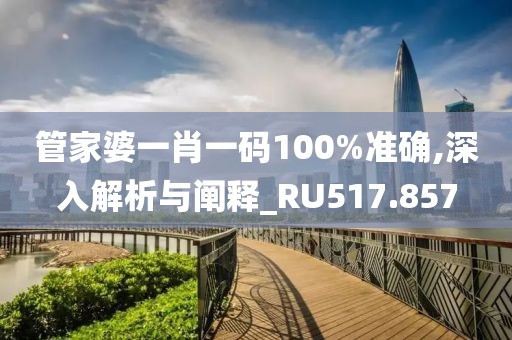管家婆一肖一码100%准确,深入解析与阐释_RU517.857