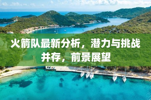 火箭队最新分析，潜力与挑战并存，前景展望