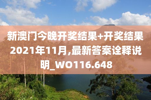新澳门今晚开奖结果+开奖结果2021年11月,最新答案诠释说明_WO116.648