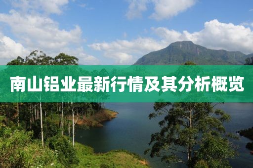 南山铝业最新行情及其分析概览