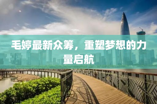 毛婷最新众筹，重塑梦想的力量启航