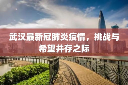武汉最新冠肺炎疫情，挑战与希望并存之际