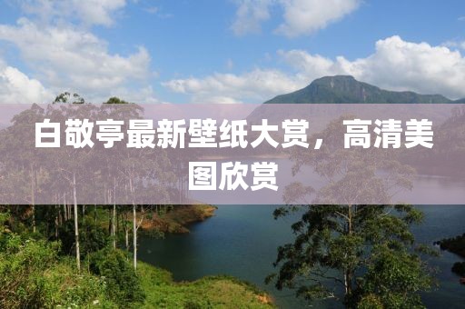 肆战作王 第9页