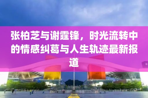 张柏芝与谢霆锋，时光流转中的情感纠葛与人生轨迹最新报道