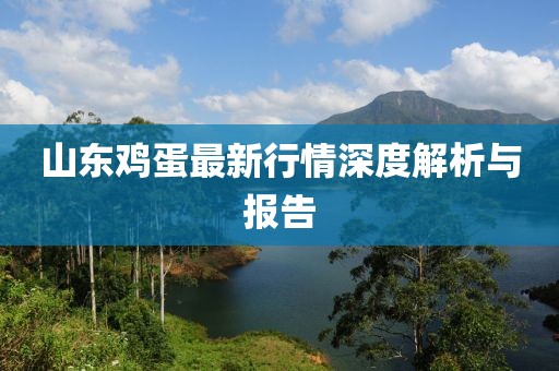 山东鸡蛋最新行情深度解析与报告