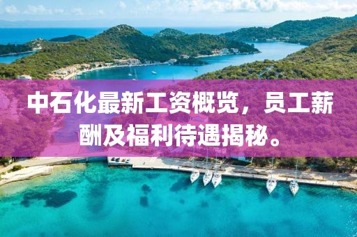 中石化最新工资概览，员工薪酬及福利待遇揭秘。