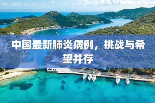 中国最新肺炎病例，挑战与希望并存