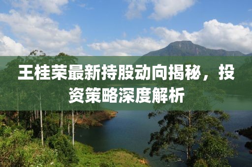王桂荣最新持股动向揭秘，投资策略深度解析