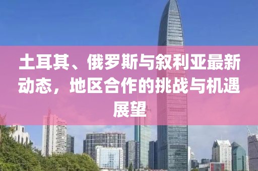 土耳其、俄罗斯与叙利亚最新动态，地区合作的挑战与机遇展望