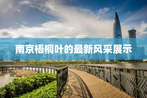 南京梧桐叶的最新风采展示