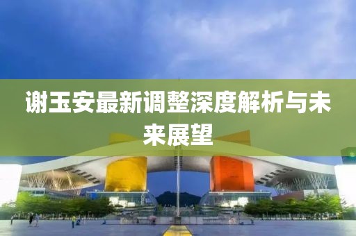 谢玉安最新调整深度解析与未来展望