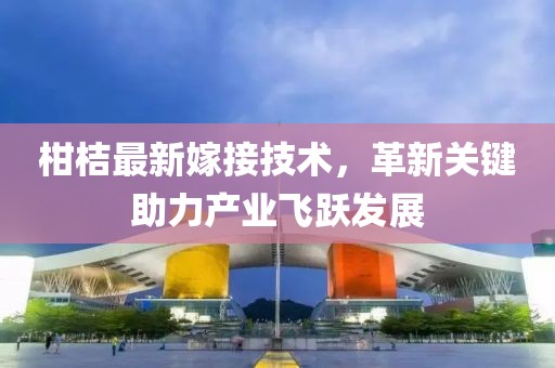 柑桔最新嫁接技术，革新关键助力产业飞跃发展