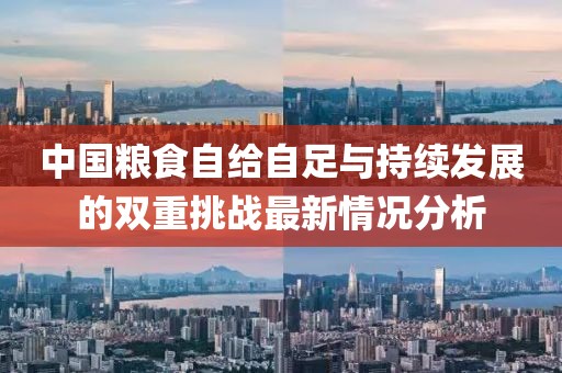 中国粮食自给自足与持续发展的双重挑战最新情况分析