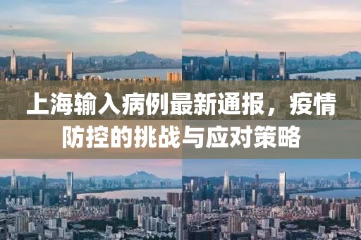 上海输入病例最新通报，疫情防控的挑战与应对策略