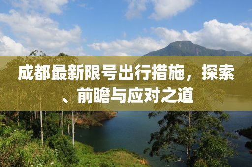 成都最新限号出行措施，探索、前瞻与应对之道