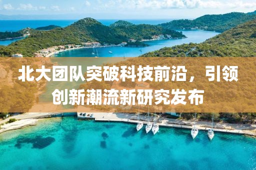 北大团队突破科技前沿，引领创新潮流新研究发布