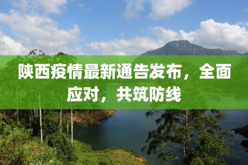 陕西疫情最新通告发布，全面应对，共筑防线