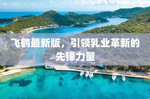 飞鹤最新版，引领乳业革新的先锋力量