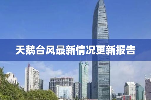 天鹅台风最新情况更新报告