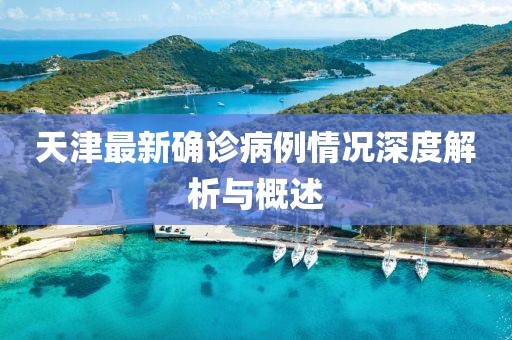 天津最新确诊病例情况深度解析与概述