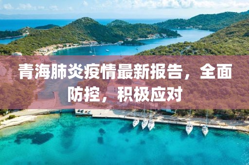 青海肺炎疫情最新报告，全面防控，积极应对
