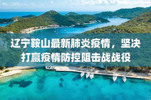 辽宁鞍山最新肺炎疫情，坚决打赢疫情防控阻击战战役