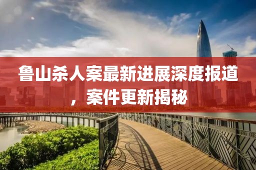 鲁山杀人案最新进展深度报道，案件更新揭秘