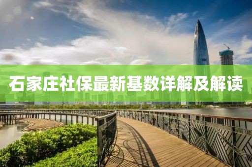 石家庄社保最新基数详解及解读