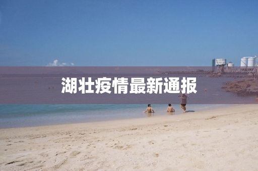 湖壮疫情最新通报
