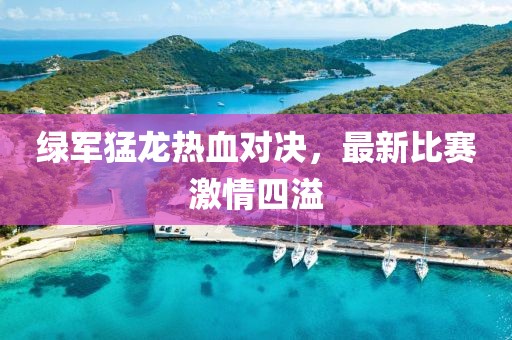 绿军猛龙热血对决，最新比赛激情四溢