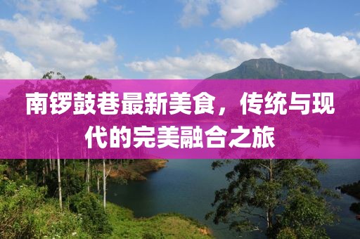 南锣鼓巷最新美食，传统与现代的完美融合之旅