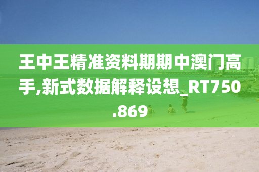 王中王精准资料期期中澳门高手,新式数据解释设想_RT750.869