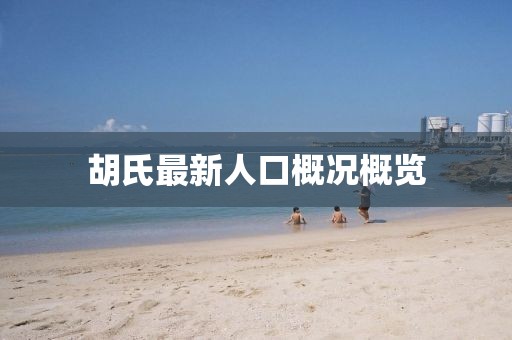 胡氏最新人口概况概览