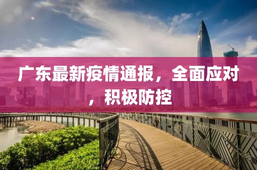 广东最新疫情通报，全面应对，积极防控