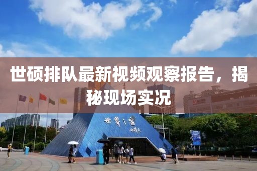 世硕排队最新视频观察报告，揭秘现场实况