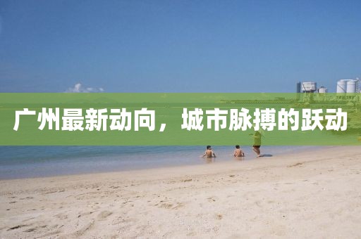 广州最新动向，城市脉搏的跃动