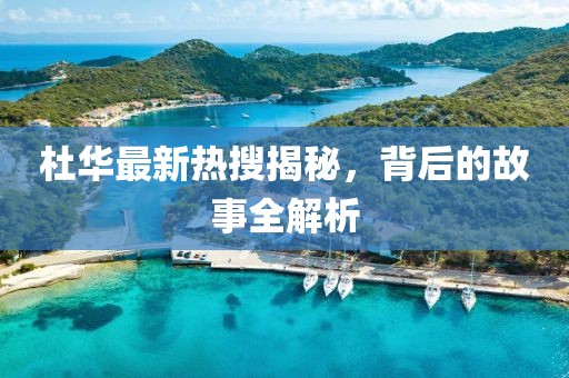 杜华最新热搜揭秘，背后的故事全解析